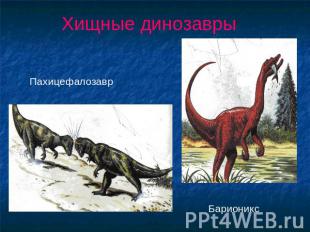 Хищные динозавры Пахицефалозавр Барионикс