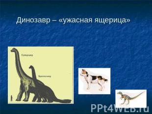 Динозавр – «ужасная ящерица»