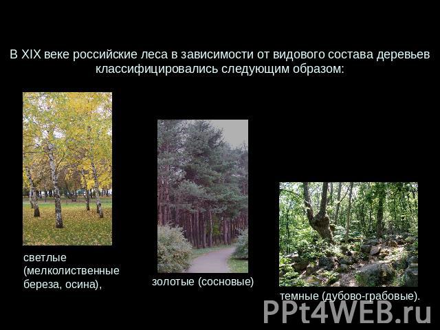 В XIX веке российские леса в зависимости от видового состава деревьев классифицировались следующим образом: светлые (мелколиственные береза, осина), золотые (сосновые) темные (дубово-грабовые).