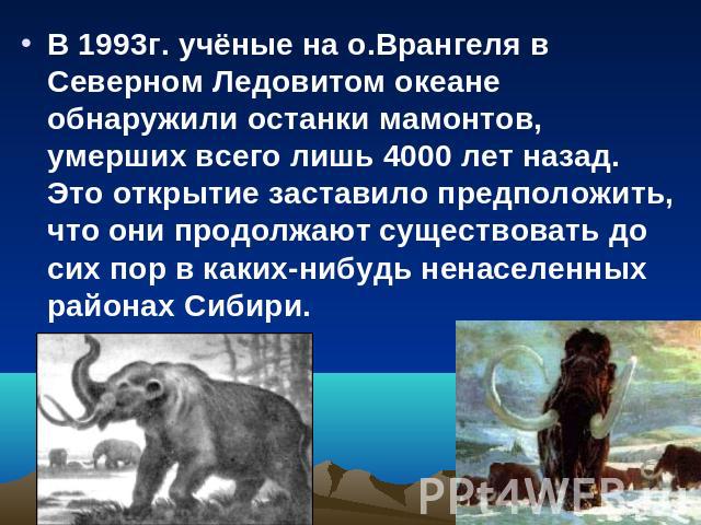 В 1993г. учёные на о.Врангеля в Северном Ледовитом океане обнаружили останки мамонтов, умерших всего лишь 4000 лет назад. Это открытие заставило предположить, что они продолжают существовать до сих пор в каких-нибудь ненаселенных районах Сибири.