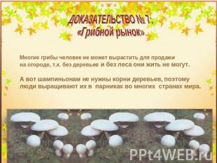 ДОКАЗАТЕЛЬСТВО № 7:«Грибной рынок» Многие грибы человек не может вырастить для п