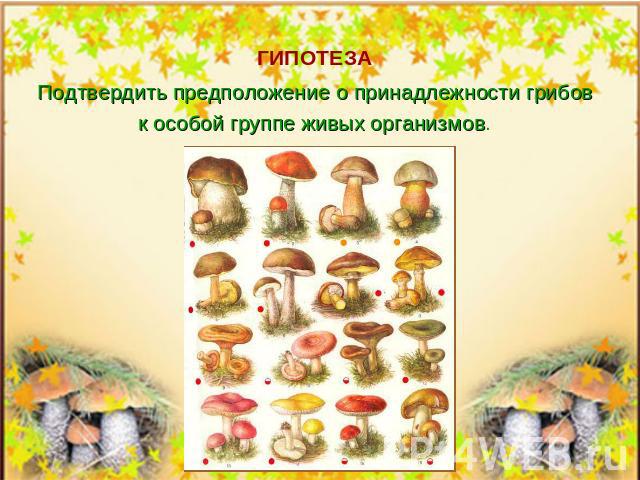 Подтвердить предположение о принадлежности грибовк особой группе живых организмов.