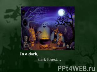 dark forest… dark forest…