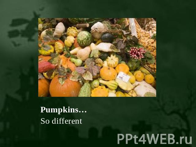 Pumpkins… So different