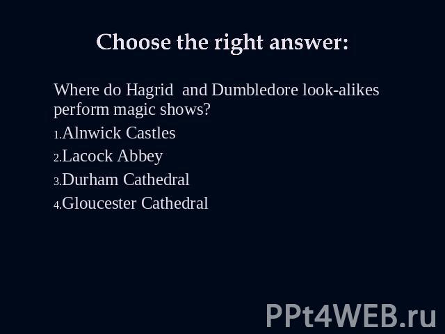 Choose the right answer: Where do Hagrid and Dumbledore look-alikes perform magic shows? Alnwick CastlesLacock AbbeyDurham CathedralGloucester Cathedral