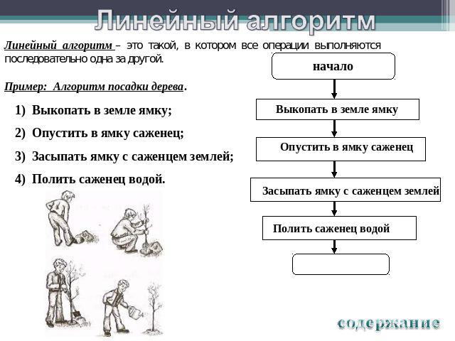 Линейный алгоритм – это такой, в котором все операции выполняютсяпоследовательно одна за другой.Пример: Алгоритм посадки дерева. Выкопать в земле ямку;Опустить в ямку саженец;Засыпать ямку с саженцем землей;Полить саженец водой.