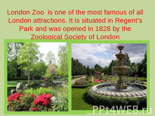 London Zoo is one of the most famous of all London attractions. It is situated in Regent’s Park and was opened in 1828 by the Zoological Society of London