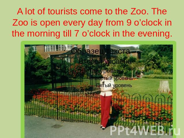 A lot of tourists come to the Zoo. The Zoo is open every day from 9 o’clock in the morning till 7 o’clock in the evening.