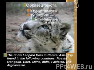 The Snow Leopard lives in Central Asia. It is found in the following countries: