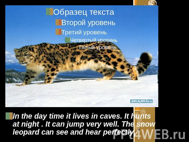 In the day time it lives in caves. It hunts at night . It can jump very well. The snow leopard can see and hear perfectly.