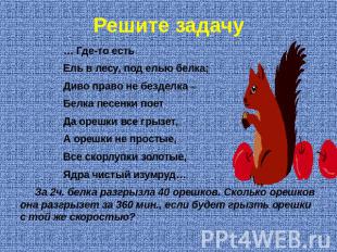 Решите задачу … Где-то есть Ель в лесу, под елью белка; Диво право не безделка –