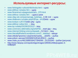 Используемые интернет-ресурсы: www.fishingpiter.ru/book/ribi/shuka.html – щукаww