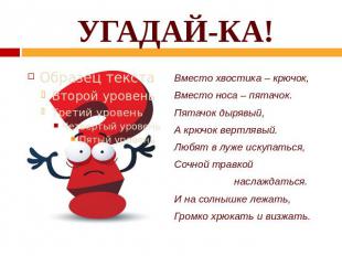 УГАДАЙ-КА!Вместо хвостика – крючок, Вместо носа – пятачок. Пятачок дырявый, А кр