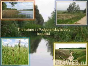 The nature in Podgorenskiy is very beautiful