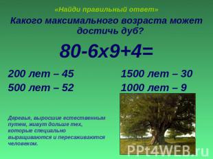 «Найди правильный ответ» Какого максимального возраста может достичь дуб?80-6х9+