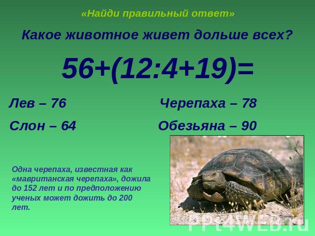 «Найди правильный ответ» Какое животное живет дольше всех?56+(12:4+19)=Лев – 76 Черепаха – 78Слон – 64 Обезьяна – 90 Одна черепаха, известная как «мавританская черепаха», дожила до 152 лет и по предположению ученых может дожить до 200 лет.
