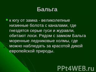 Бальга к югу от замка - великолепные низинные болота с каналами, где гнездятся с