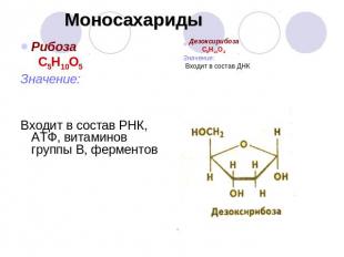 Моносахариды Рибоза С5Н10О5Значение:Входит в состав РНК, АТФ, витаминов группы В