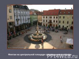 Фонтан на центральной площади средневекового города