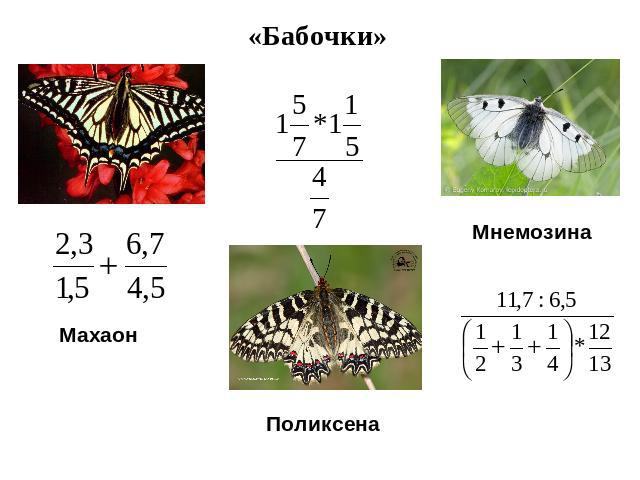 «Бабочки» Махаон Мнемозина Поликсена