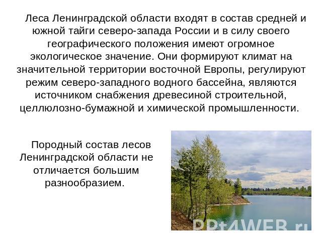 Леса Ленинградской области входят в состав средней и южной тайги северо-запада России и в силу своего географического положения имеют огромное экологическое значение. Они формируют климат на значительной территории восточной Европы, регулируют режим…