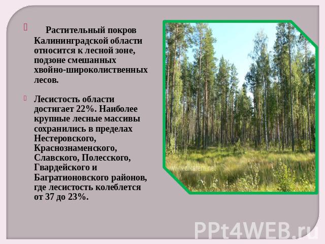     Растительный покров Калининградской области относится к лесной зоне, подзоне смешанных хвойно-широколиственных лесов. Лесистость области достигает 22%. Наиболее крупные лесные массивы сохранились в пределах Нестеровского, Краснознаменского, Слав…