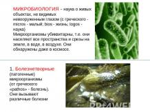 Микробиология
