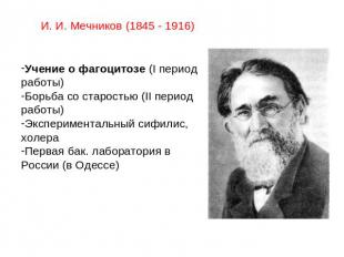 И. И. Мечников (1845 - 1916)Учение о фагоцитозе (I период работы)Борьба со старо