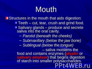 Mouth Structures in the mouth that aids digestion: Teeth – cut, tear, crush and