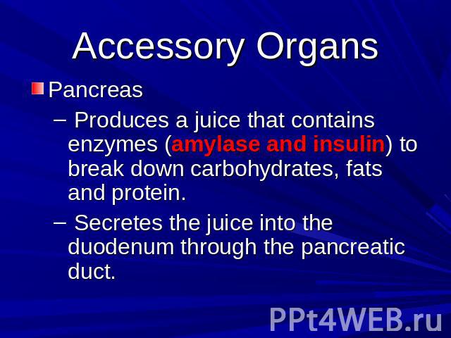 Accessory Organs Pancreas Produces a juice that contains enzymes (amylase and insulin) to break down carbohydrates, fats and protein. Secretes the juice into the duodenum through the pancreatic duct.