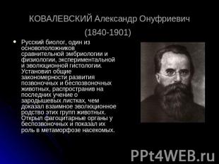 КОВАЛЕВСКИЙ Александр Онуфриевич (1840-1901) Русский биолог, один из основополож
