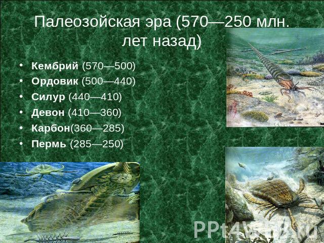 Палеозойская эра (570—250 млн. лет назад)Кембрий (570—500) Ордовик (500—440) Силур (440—410) Девон (410—360)Карбон(360—285) Пермь (285—250)