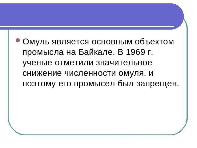 Омуль является основным объектом промысла на Байкале. В 1969 г. ученые отметили значительное снижение численности омуля, и поэтому его промысел был запрещен.