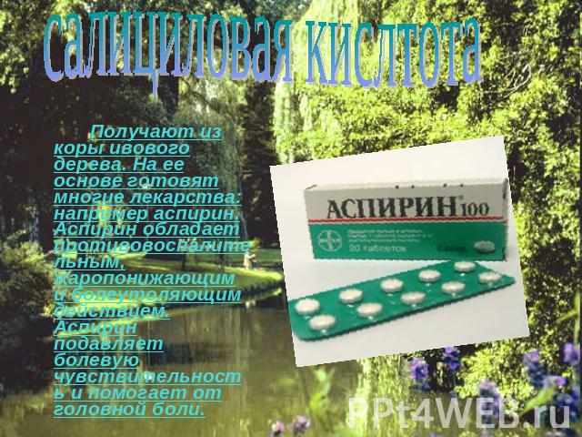 салициловая кислтотаПолучают из коры ивового дерева. На ее основе готовят многие лекарства: например аспирин. Аспирин обладает противовоспалительным, жаропонижающим и болеутоляющим действием. Аспирин подавляет болевую чувствительность и помогает от …