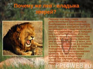 Почему же лев - владыка зверей? Потому, что вид у него действительно царственный