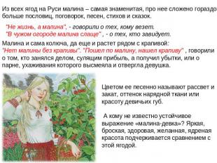 Из всех ягод на Руси малина – самая знаменитая, про нее сложено гораздо больше п