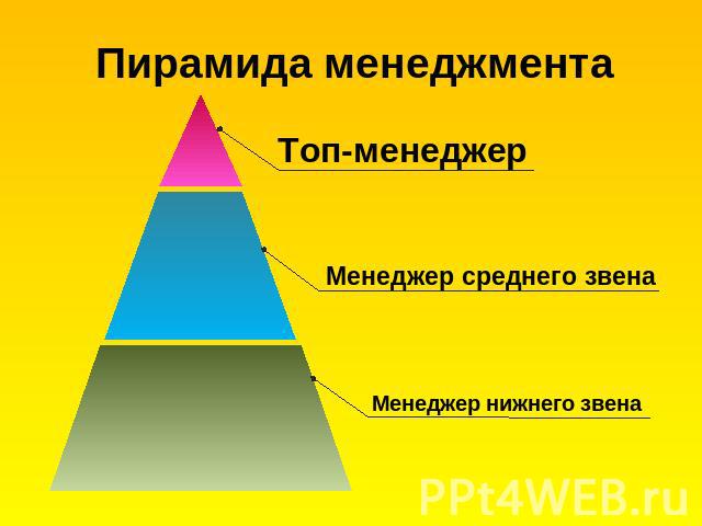 Пирамида менеджмента