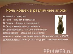 Роль кошек в различные эпохи В Египте – божество;В Риме – символ восстания;В Гре