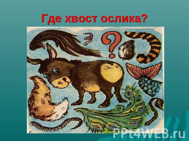 Где хвост ослика?