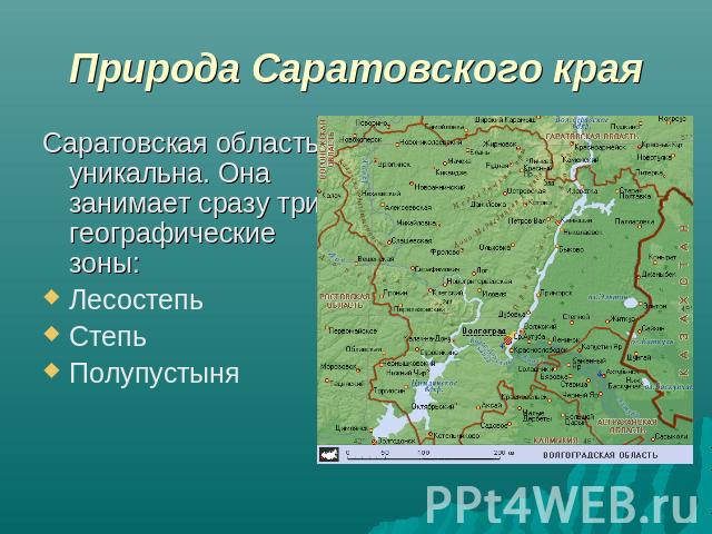 Природа Саратовского края Саратовская область уникальна. Она занимает сразу три географические зоны:ЛесостепьСтепьПолупустыня
