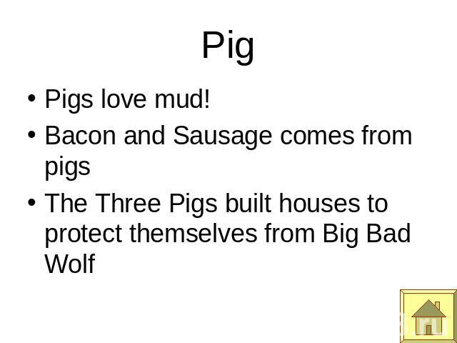 Pig Pigs love mud!Bacon and Sausage comes from pigsThe Three Pigs built houses to protect themselves from Big Bad Wolf