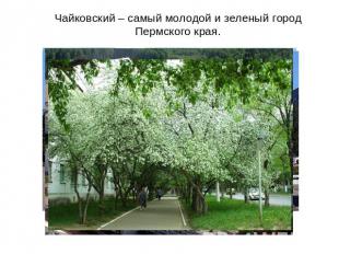 Чайковский – самый молодой и зеленый город Пермского края.