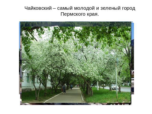 Чайковский – самый молодой и зеленый город Пермского края.