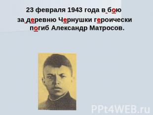 23 февраля 1943 года в бою за деревню Чернушки героически погиб Александр Матрос