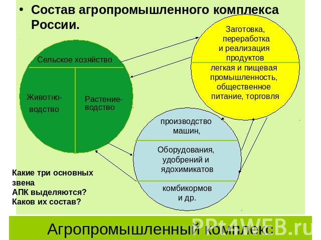 Состав агропромышленного комплекса России. Агропромышленный комплекс