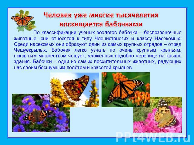 Человек уже многие тысячелетия восхищается бабочкамиПо классификации ученых зоологов бабочки – беспозвоночные животные, они относятся к типу Членистоногих и классу Насекомых. Среди насекомых они образуют один из самых крупных отрядов – отряд Чешуекр…