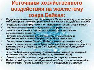 Источники хозяйственного воздействия на экосистему озера Байкал: Индустриальные