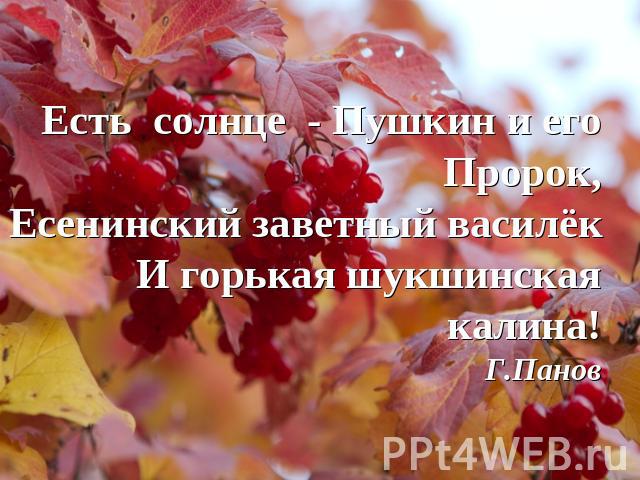 Есть солнце - Пушкин и его Пророк,Есенинский заветный василёкИ горькая шукшинская калина!Г.Панов