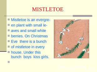 MISTLETOE Mistletoe is an evergre-en plant with small le-aves and small white be