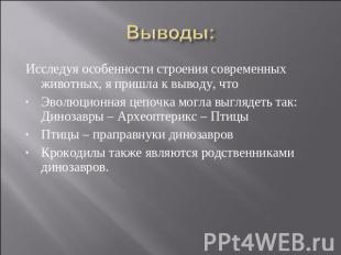 Выводы: Исследуя особенности строения современных животных, я пришла к выводу, ч